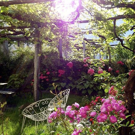 Bed & Breakfast Uvablu Trontano Bagian luar foto