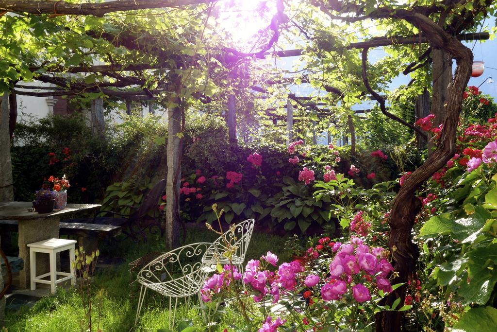Bed & Breakfast Uvablu Trontano Bagian luar foto