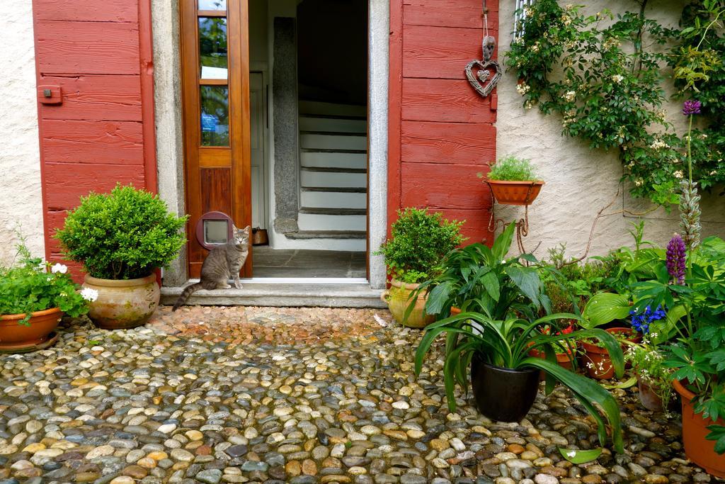 Bed & Breakfast Uvablu Trontano Bagian luar foto