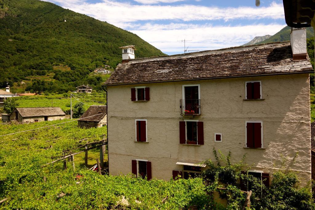 Bed & Breakfast Uvablu Trontano Bagian luar foto