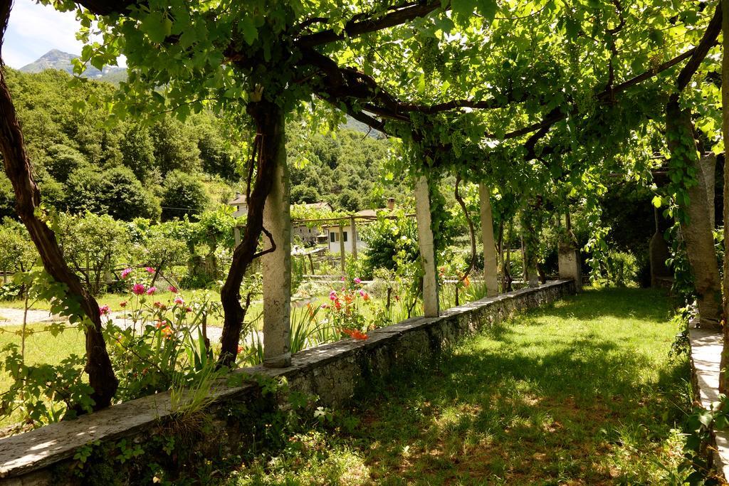 Bed & Breakfast Uvablu Trontano Bagian luar foto
