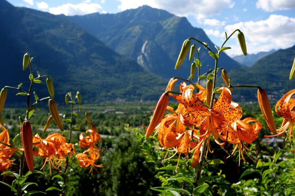 Bed & Breakfast Uvablu Trontano Bagian luar foto